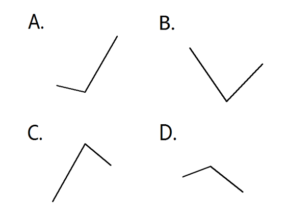 2019年国家公务员录用考试《行测》真题（副省级网友回忆版）(图46)