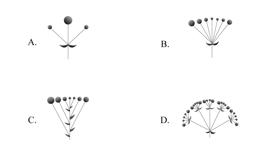 2020年国家公务员录用考试《行测》真题（副省级网友回忆版）(图66)