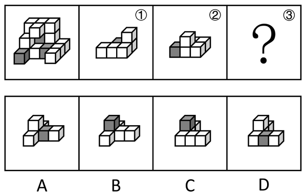 2024年国家公务员录用考试《行测》题（行政执法卷网友回忆版）(图15)