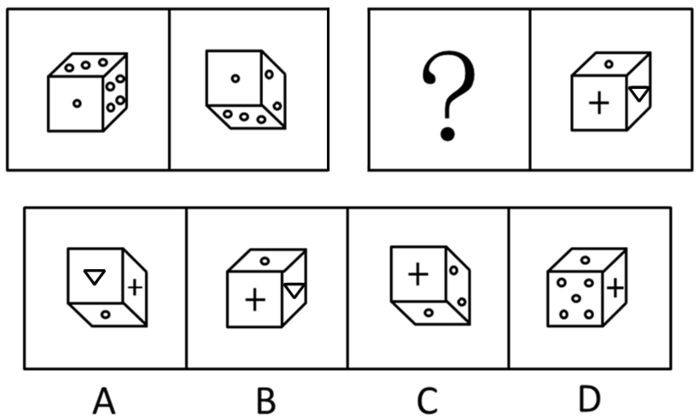 2009年河南公务员考试《行测》卷(图30)
