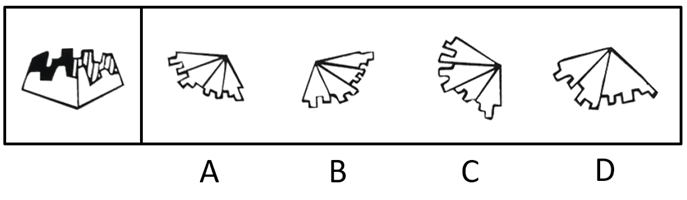 2019年河南省统一考试录用司法所公务员《行测》真题（网友回忆版）(图14)