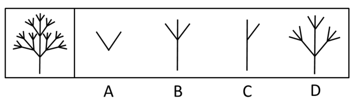 2014年吉林公务员考试《行测》乙卷(图24)