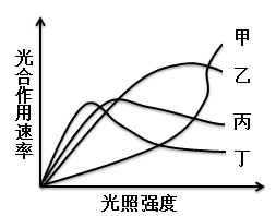 2009年云南公务员考试《行测》卷(图31)