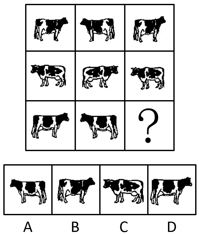 2020年江苏省公务员录用考试《行测》真题（A类）（网友回忆版）(图51)
