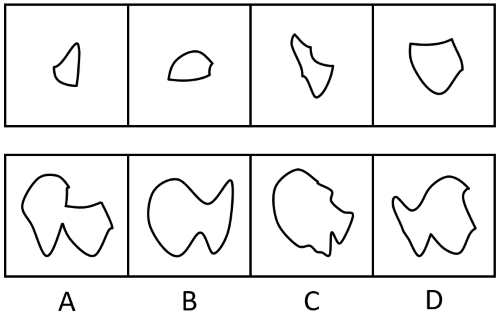 2024年江苏省公务员录用考试《行测》题（C类）（网友回忆版）(图40)