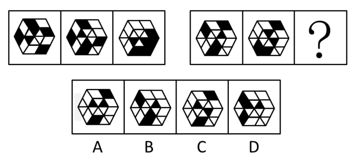 2010年广东公务员考试《行测》卷(图11) 2010年广东公务员考试《行测》卷(图11)