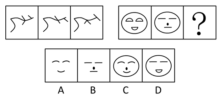 2010年广东公务员考试《行测》卷(图12) 2010年广东公务员考试《行测》卷(图12)
