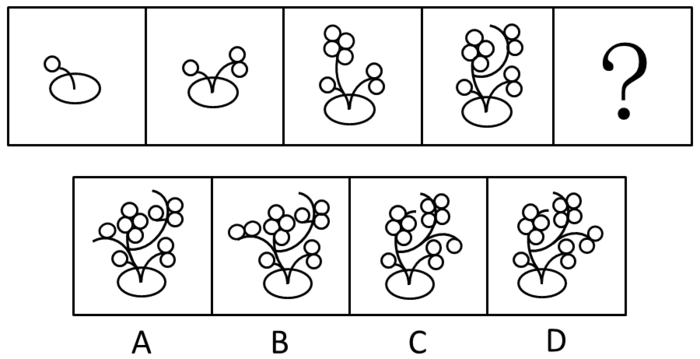 2012年广东公务员考试《行测》卷(图13)