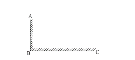 2020年广东省公务员录用考试《行测》试题（县级卷）（网友回忆版）(图11)