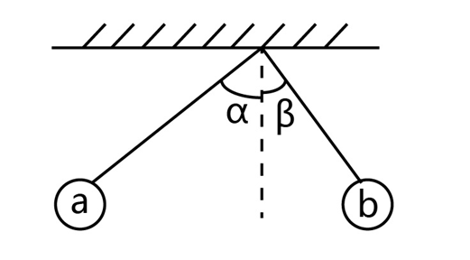 2019年广东省选调优秀大学毕业生笔试 综合行政能力测验真题（网友回忆版）(图4)