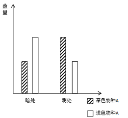 2020年度广东省选调生和急需紧缺专业公务员招录笔试 综合行政能力测验（网友回忆版）(图17)