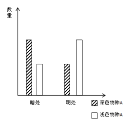 2020年度广东省选调生和急需紧缺专业公务员招录笔试 综合行政能力测验（网友回忆版）(图20)