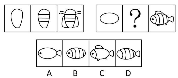 2010年四川公务员考试《行测》下半年卷(图5) 2010年四川公务员考试《行测》下半年卷(图5)