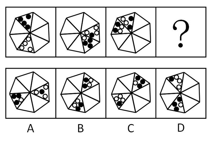 2010年安徽公务员考试《行测》卷(图13) 2010年安徽公务员考试《行测》卷(图13)