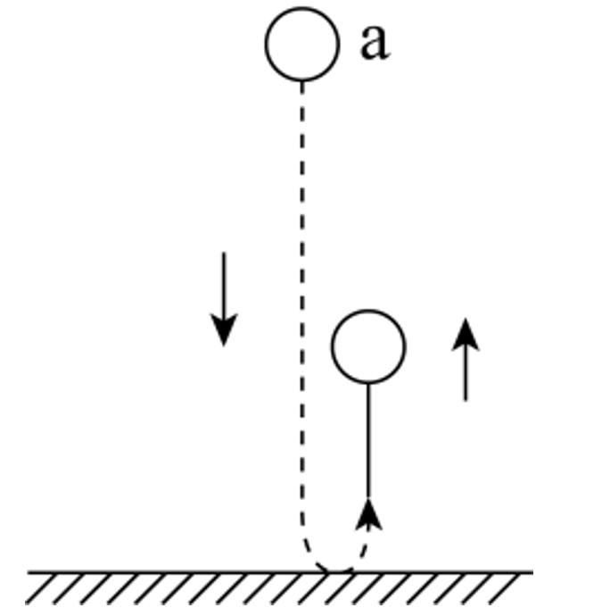 2021年上海市公务员录用考试《行测》题（A类）（网友回忆版）(图17)