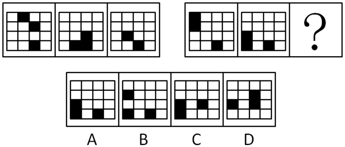 2009年北京公务员考试《行测》社招卷(图10)