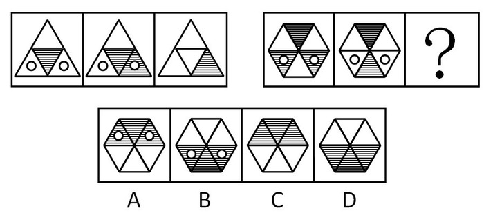 2009年北京公务员考试《行测》应届卷(图11)