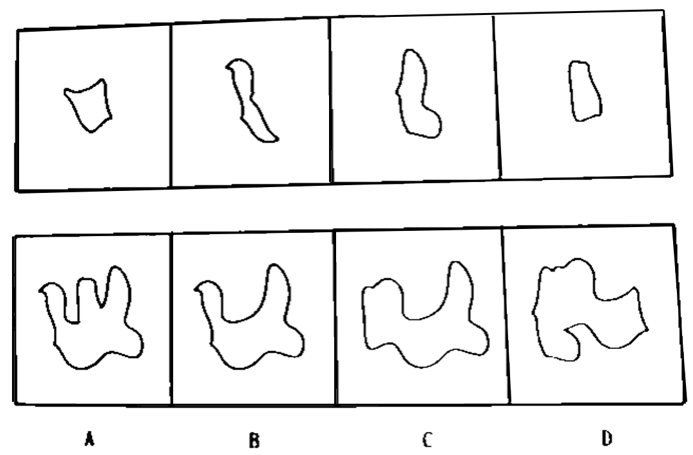 2020年9月19日江苏省泰州市姜堰、海陵、兴化事业单位考试《综合知识和能力》试题（网友回忆版）（精选）(图19)