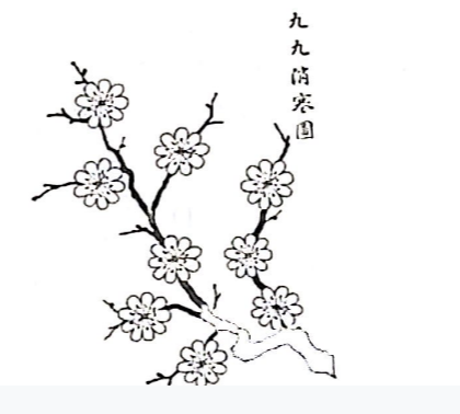 2024年11月24日四川省事业单位考试《公共基础知识》试题（网友回忆版）(图1)