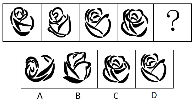 2018年5月福建宁德市事业单位考试《综合基础知识》真题(图19)