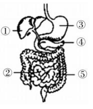 2018年浙江省教师招聘《中学生物》考试题(图2)