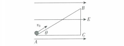 2017年山东省临沂市兰山区教师招聘《物理学科》考试题(图53)