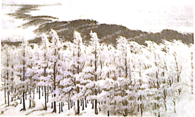 2018年山东省潍坊市昌邑市教师招聘考试学科专业知识（中小学美术）（精选）(图11)