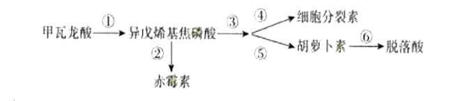 2018年3月18日山东省临沂市兰山区教师招聘考试题（基础知识+中学生物）(图12)