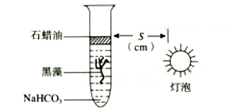 2018年3月18日山东省临沂市兰山区教师招聘考试题（基础知识+中学生物）(图15)