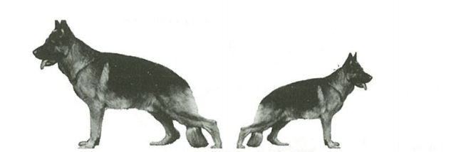 2018年山东省聊城市教育局直属学校教师招聘 《中小学信息技术》考试题(图1)