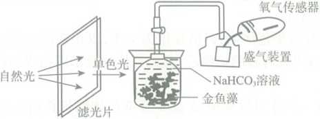 2018年3月31日山东省潍坊市高密市教育系统事业单位教师岗招聘考试题(图21)