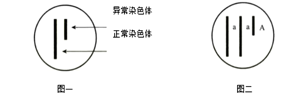 2018年3月31日山东省潍坊市高密市教育系统事业单位教师岗招聘考试题(图23)