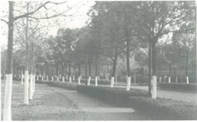 2018年5月6日山东省荷泽市事业单位教师招聘考试《中学地理》题(图1)