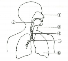 2019年5月18日山东省东营市教师招聘考试题（生物专业知识）(图8)