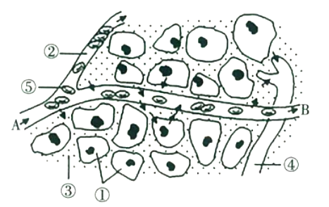 2019年5月18日山东省东营市教师招聘考试题（生物专业知识）(图10)