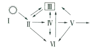 2019年5月18日山东省东营市教师招聘考试题（生物专业知识）(图12)