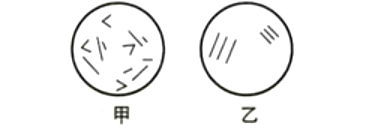 2019年6月1日山东省临沂市兰山区教师招聘考试题《中学生物》（精选）(图4)