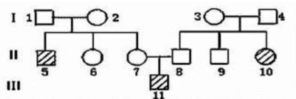2019年6月16日山东省荷泽市公开招聘教师考试题 （中学生物）（精选）(图3)