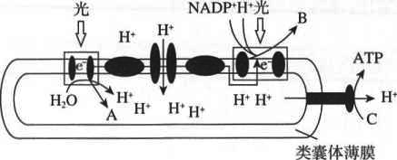 2019年7月20日山东省潍坊市潍城区公开招聘教师笔试题(图3) 2019年7月20日山东省潍坊市潍城区公开招聘教师笔试题(图3)