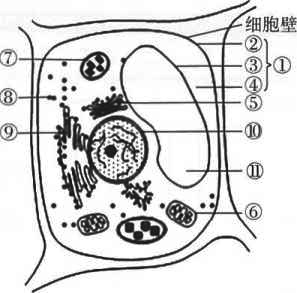 2019年7月20日山东省潍坊市潍城区公开招聘教师笔试题(图12) 2019年7月20日山东省潍坊市潍城区公开招聘教师笔试题(图12)