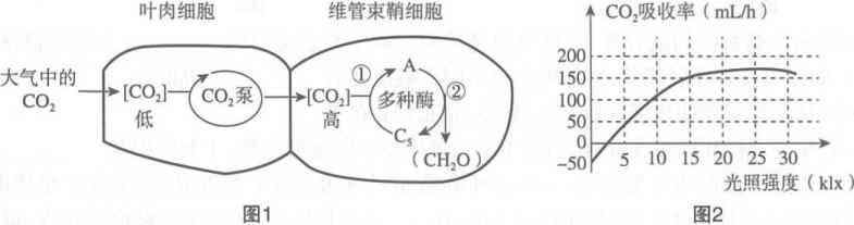 2019年7月20日山东省潍坊市潍城区公开招聘教师笔试题(图19) 2019年7月20日山东省潍坊市潍城区公开招聘教师笔试题(图19)