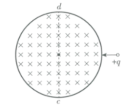 2019年山东省东营市市属中小学（幼儿园）教师招聘考试题（公共基础知识+学科专业知识）(图31)