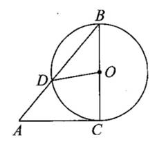 2020年山东省德州市庆云区小学数学笔试题(图40)