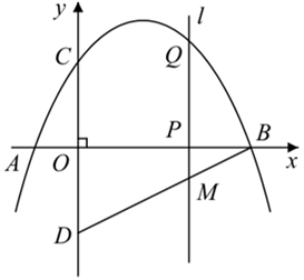 2020年山东省德州市庆云区小学数学笔试题(图58)