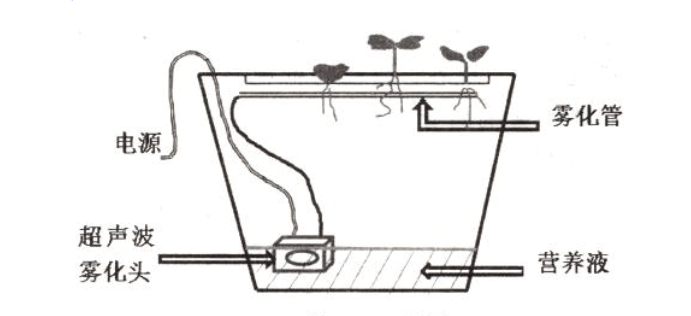 2020年山东省潍坊市安丘市公开教师招聘《高中地理》考试题(图3)