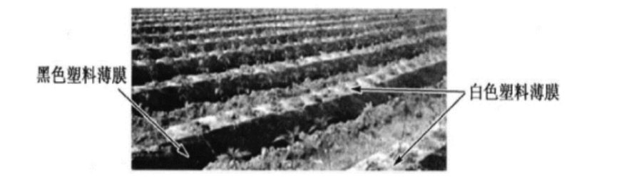 2020年山东省潍坊市安丘市公开教师招聘《高中地理》考试题(图7)