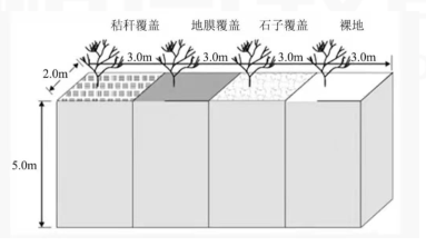 2021年8月1日山东省临沂市教师招聘(地理学科)试题(考生回忆版)(图4) 2021年8月1日山东省临沂市教师招聘(地理学科)试题(考生回忆版)(图4)