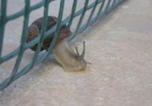 2019年6月22日浙江省考（优干）面试真题(图1)