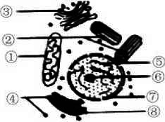 2021年8月1日山东省临沂市教师招聘生物学科试题（精选）(图1)