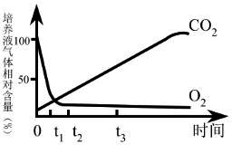 2021年8月1日山东省临沂市教师招聘生物学科试题（精选）(图8)